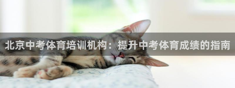 欧陆娱乐总代理是谁：北京中考体育培训机构：提升中考体