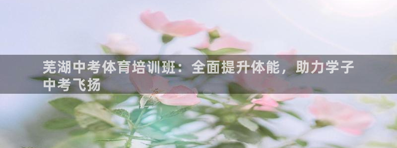 欧陆娱乐能赚钱吗：芜湖中考体育培训班：全面提升体能，