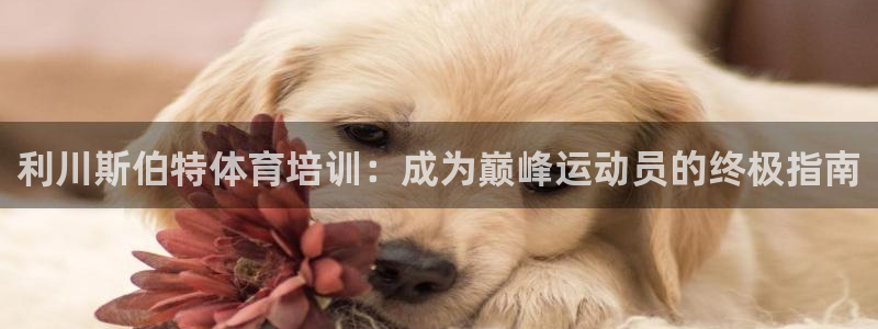 欧陆娱乐代理多少个点位：利川斯伯特体育培训：成为巅峰