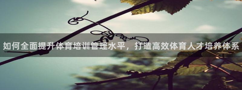 欧陆娱乐app下载：如何全面提升体育培训管理水平，打