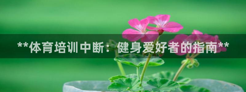 欧陆娱乐注册链接怎么弄的：**体育培训中断：健身爱好者的指南