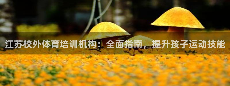欧陆娱乐怎么样：江苏校外体育培训机构：全面指南，提升