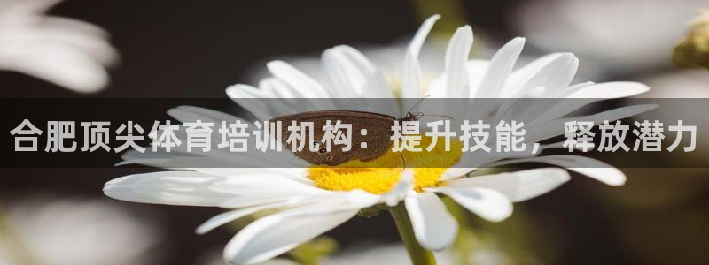 欧陆娱乐平台咋样啊知乎：合肥顶尖体育培训机构：提升技