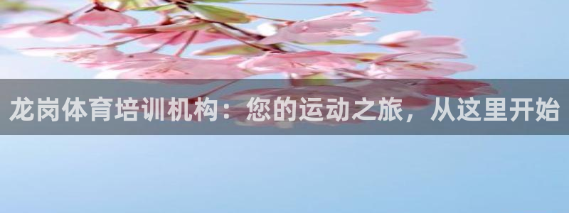 欧陆娱乐计划预测软件下载：龙岗体育培训机构：您的运动之旅，从