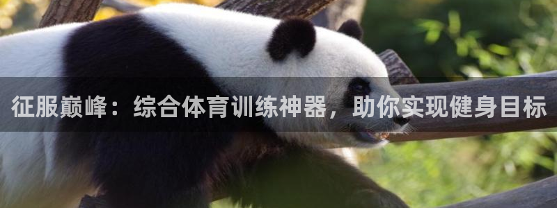 欧陆娱乐不让提现怎么办：征服巅峰：综合体育训练神器，助你实现